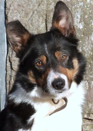 Click for large image