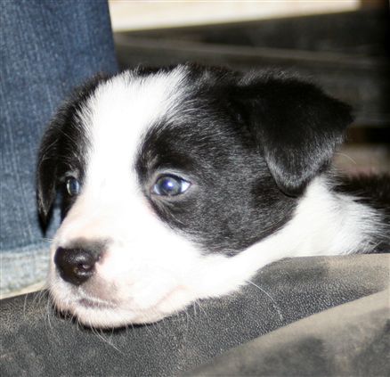 Click for large image