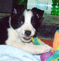 Click for large image