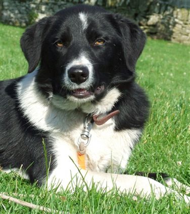 Click for large image