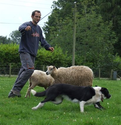 Click for large image