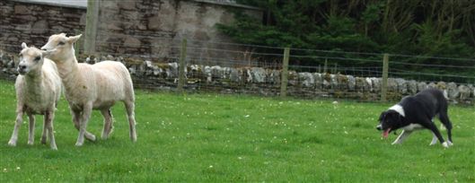 Click for large image