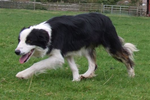 Click for large image