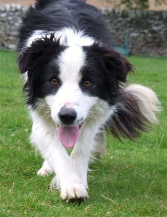 Click for large image