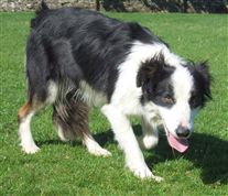 Click for large image