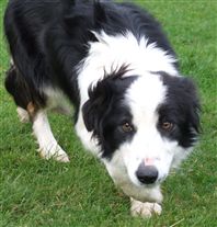 Click for large image