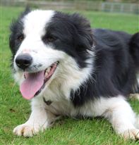 Click for large image