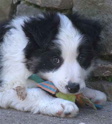 Click for large image