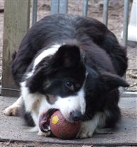 Click for large image