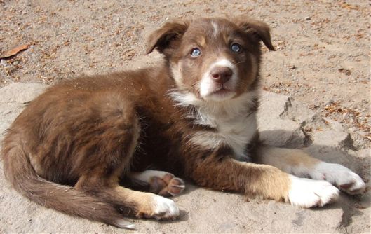 Click for large image