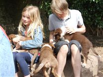 Click for large image