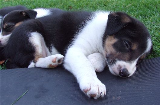 Click for large image