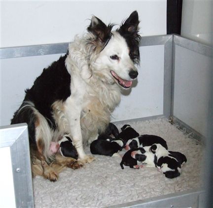 Click for large image