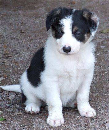 Click for large image