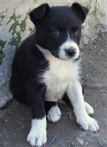 Click for large image