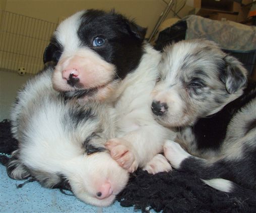 Click for large image