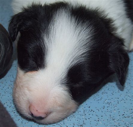 Click for large image