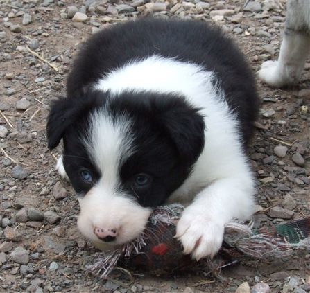 Click for large image