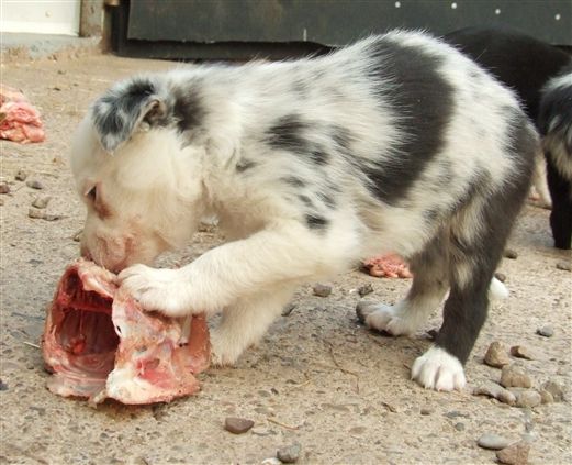 Click for large image