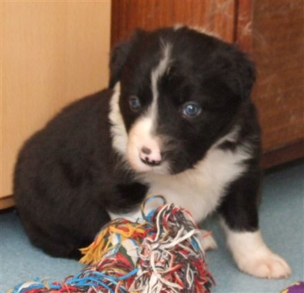 Click for large image