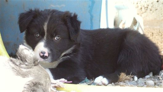 Click for large image