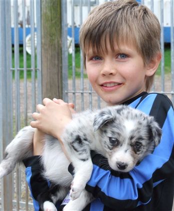 Click for large image