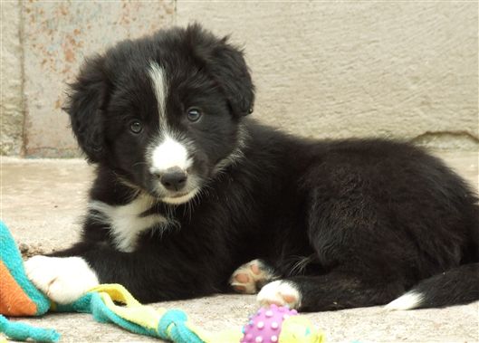 Click for large image