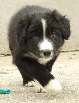 Click for large image