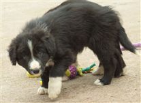 Click for large image