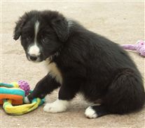 Click for large image