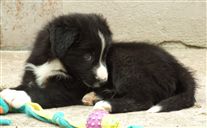 Click for large image