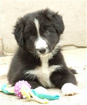 Click for large image