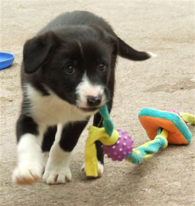 Click for large image