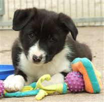 Click for large image