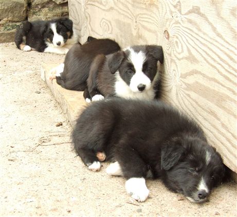 Click for large image