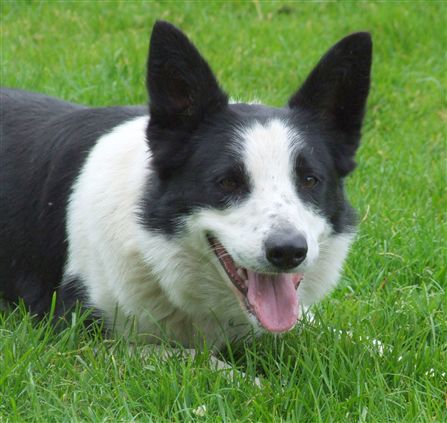 Click for large image