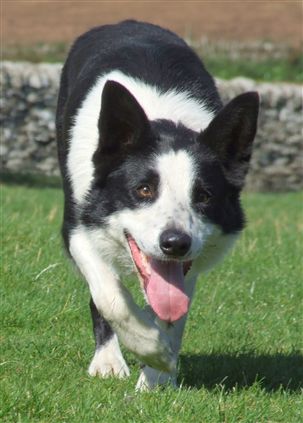 Click for large image