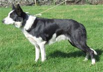 Click for large image