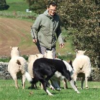 Click for large image