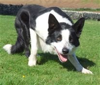 Click for large image