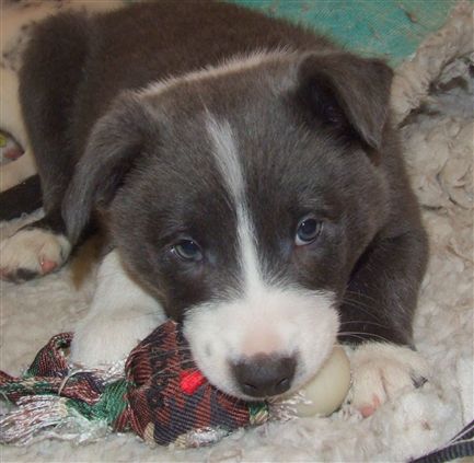 Click for large image