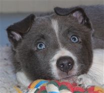 Click for large image