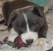 Click for large image