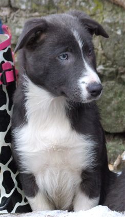 Click for large image