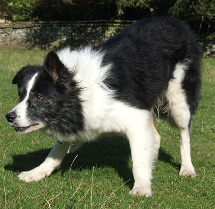 Click for large image