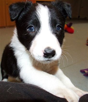 Click for large image