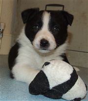 Click for large image