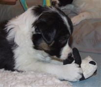 Click for large image