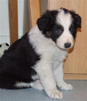 Click for large image