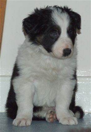 Click for large image